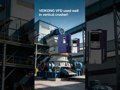 VEIKONG VFD в вертикальной дробилке